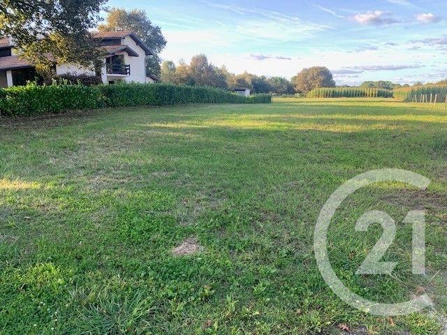 terrain à vendre - 600.0 m2 - SORT EN CHALOSSE - 40 - AQUITAINE - Century 21 Glockner